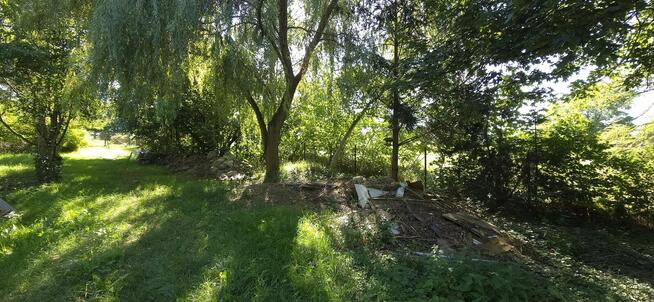 Działka Budowlana (1600 m2) ul. Leśna MEDIA (Wisznia Mała)