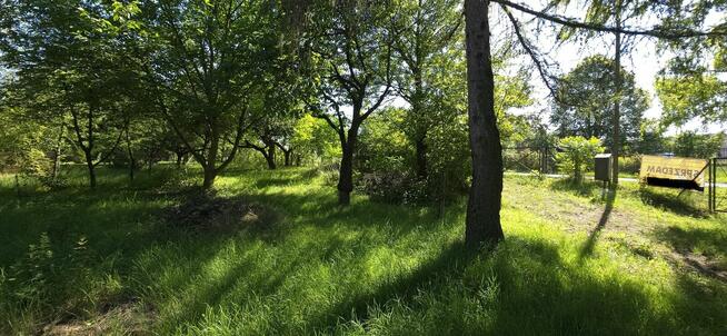 Działka Budowlana (1600 m2) ul. Leśna MEDIA (Wisznia Mała)