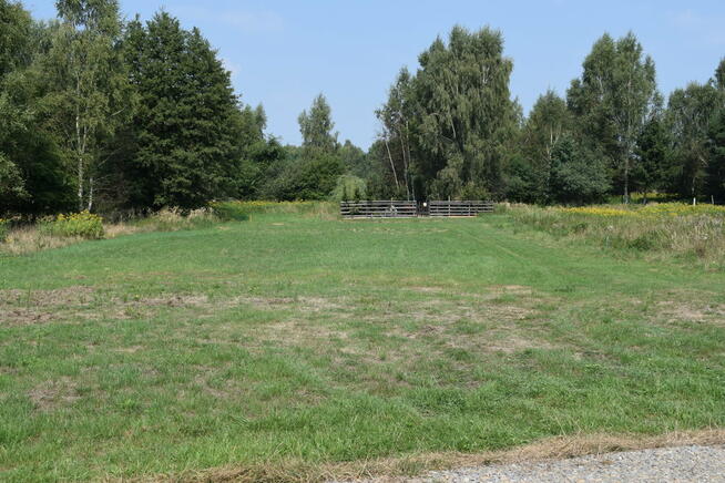 Działka budowlana 32a - Głogów Młp