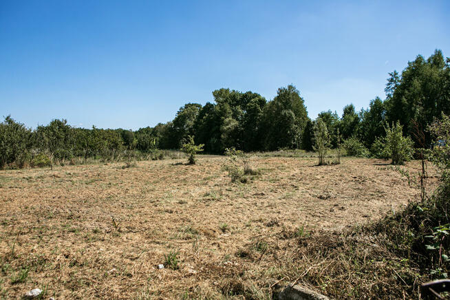 Dom wraz z działkami na sprzedaż!