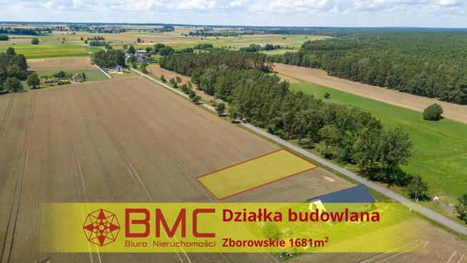 Działka budowlana Zborowskie gm. Ciasna, Dolna