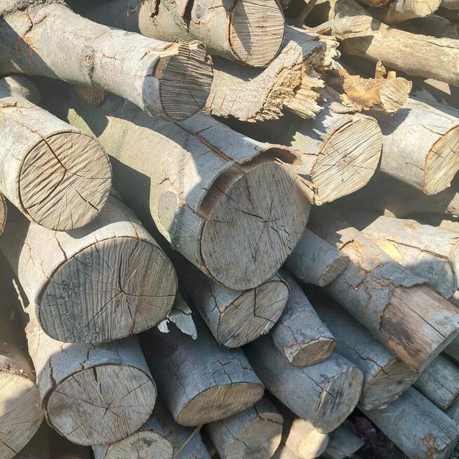 Drewno bukowe suche