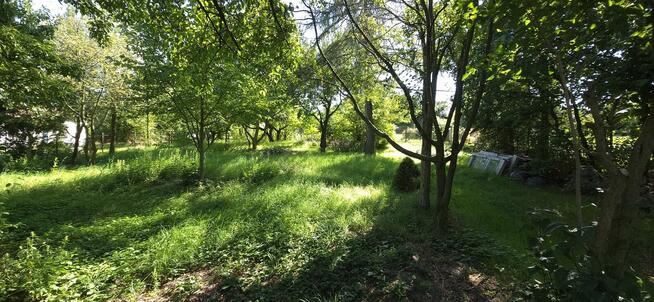 Działka Budowlana (1600 m2) ul. Leśna MEDIA (Wisznia Mała)