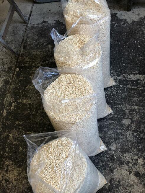 Trociny grube i drobniejsze. Zapraszam!!!