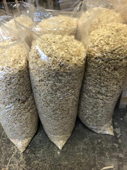 Trociny grube i drobniejsze. Zapraszam!!!