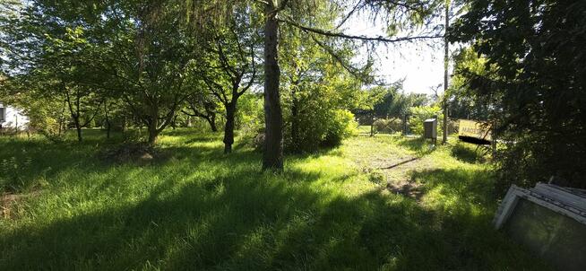 Działka Budowlana (1600 m2) ul. Leśna MEDIA (Wisznia Mała)