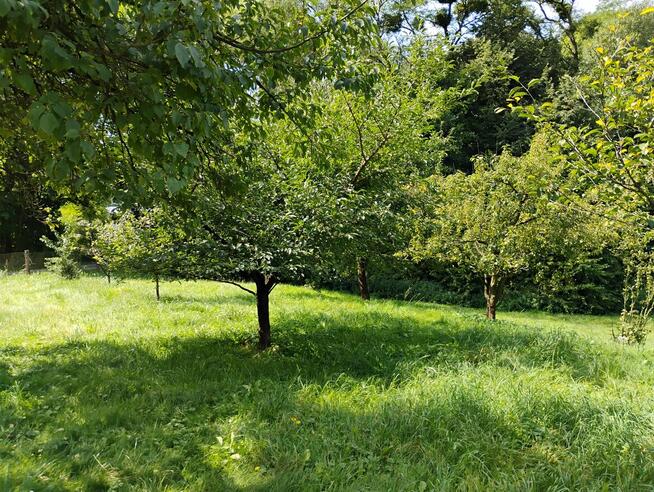 Sprzedam działkę BUDOWLANĄ położoną u PODNÓŻA GÓRY ŚW.ANNY