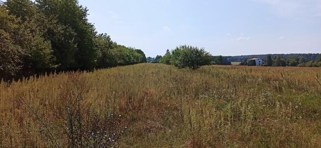 Siemiatycze - ul. Żeromskiego DZIAŁKA BUDOWLANA