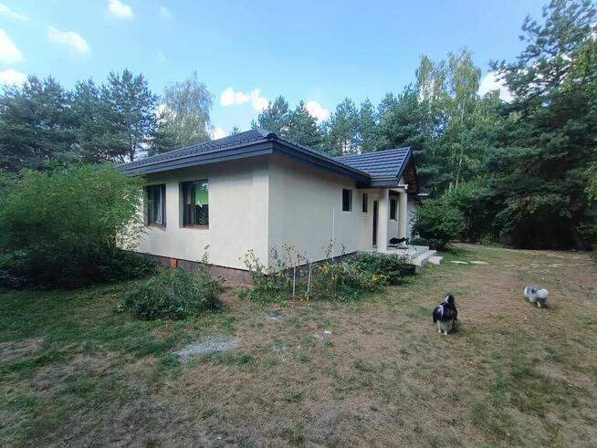 Posiadłość wiejska 4,6 ha blisko Warszawy