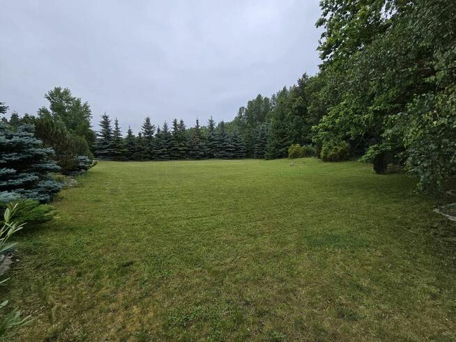 Pielęgnacja trawników - koszenie, odchwaszczanie