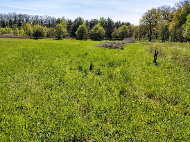 Działki budowlane w Obornikach Śląskich przy lesie