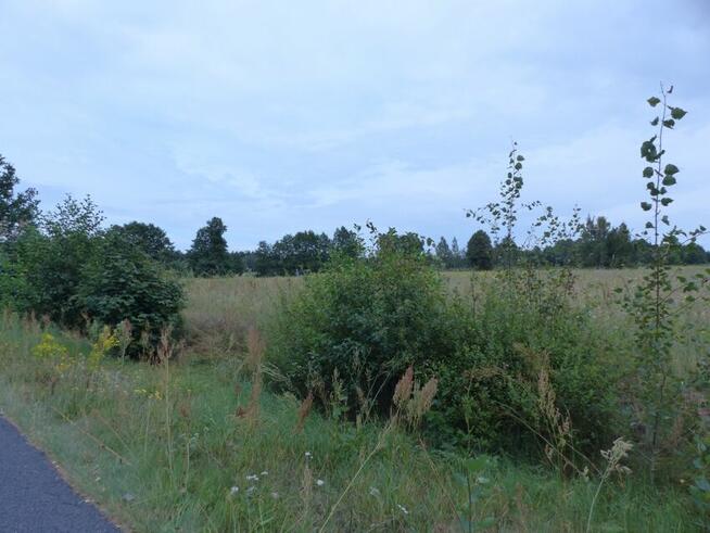 Działki rolne z warunkami zabudowy