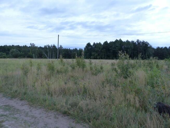 Działki rolne z warunkami zabudowy