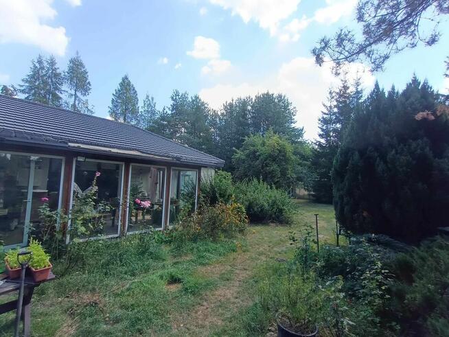 Posiadłość wiejska 4,6 ha blisko Warszawy