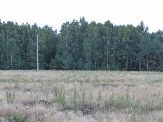 Działki rolne z warunkami zabudowy