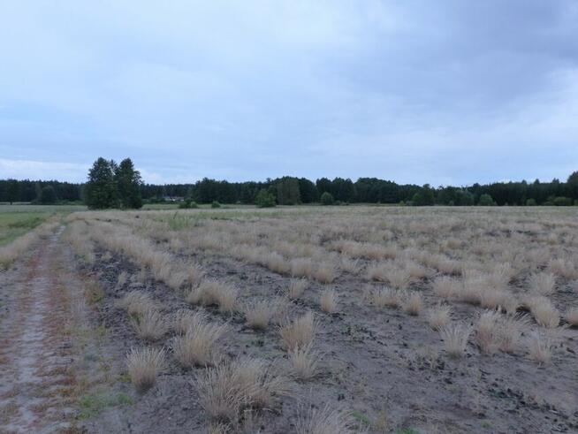 Działki rolne z warunkami zabudowy