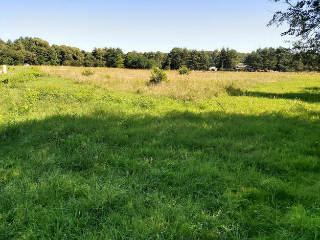 Działki budowlane w Obornikach Śląskich przy lesie