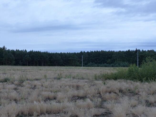 Działki rolne z warunkami zabudowy