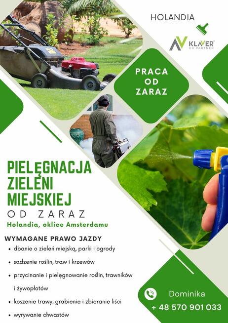 Zieleń miejska- praca w Holandii od zaraz