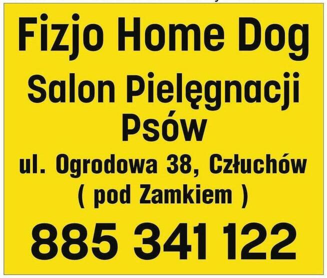 Fizjo Home Dog - Salon Pielęgnacji Psów