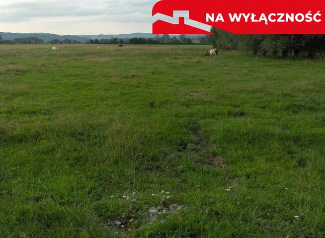 Bardzo ciekawa działka w Faściszowej