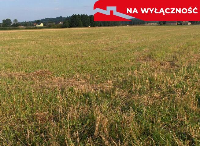 Bardzo ciekawa działka w Faściszowej