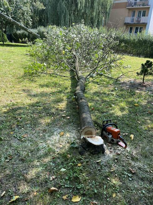 Koszenie trawy, przycinanie koron drzew i drzewek, żywopłot