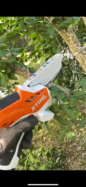 Koszenie trawy, przycinanie koron drzew i drzewek, żywopłot