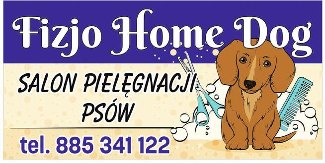 Pielęgnacja psów