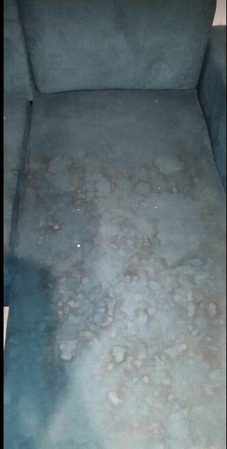 Mobilne pranie tapicerki meblowej i samochodowej.