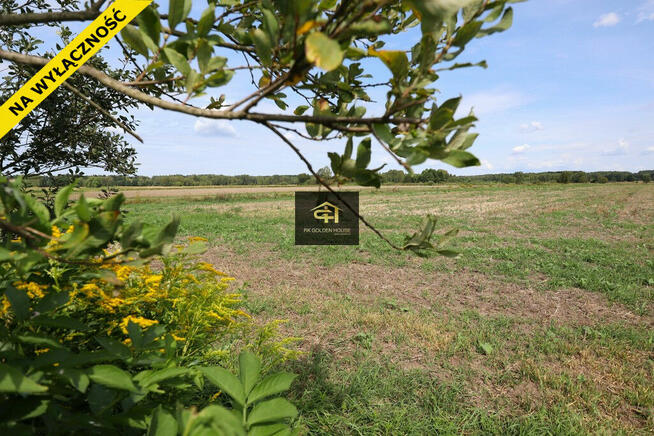 Działka rolna na sprzedaż - grunty orne RIVb, ŁV