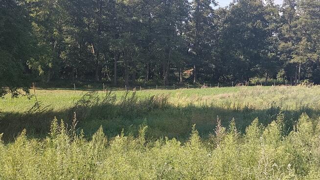 Sielskie widoki każdego dnia?... Tak!!