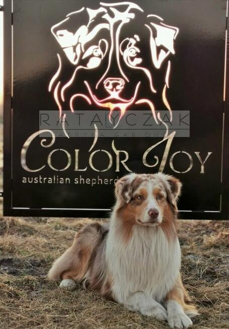 NOWOCZESNA FURTKA WYCINANA WEDŁUG TWOJEGO WZORU