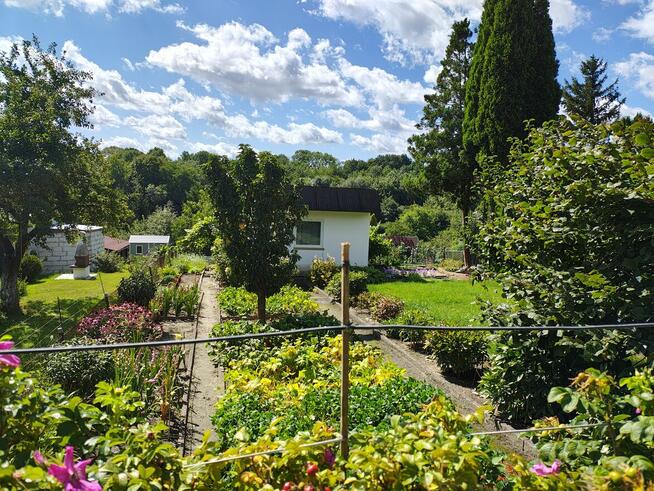 Sprzedam działkę rekreacyjno/warzywną