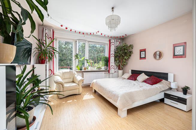 Dom w Falenicy, świetna lokalizacja, sauna + bar