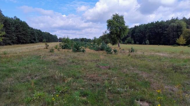 Działka siedliskowa na sprzedaż 1,7 ha