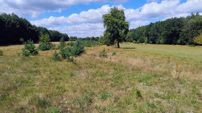 Działka siedliskowa na sprzedaż 1,7 ha