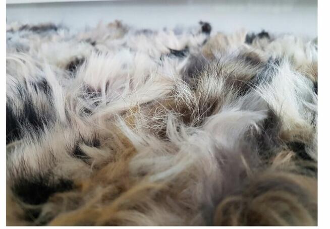 Dywan narzuta z lisa i jenota ręcznie Tkana skóra naturalna