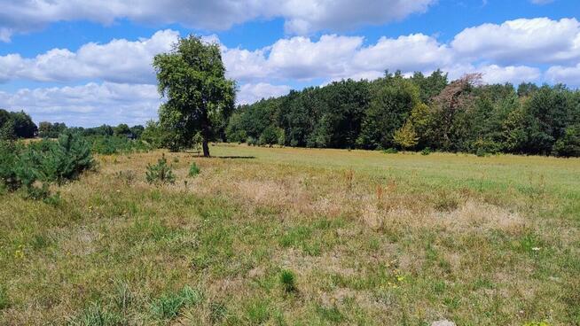 Działka siedliskowa na sprzedaż 1,7 ha