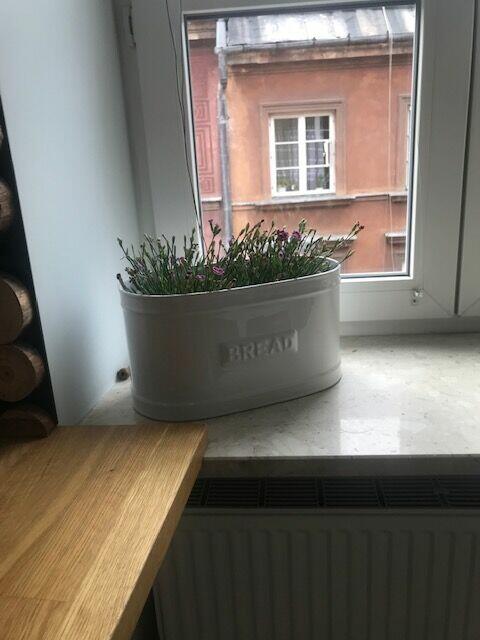 Wynajmę mieszkanie dwa pokoje 50m2 na Starym Mieście wysoki