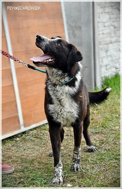 Sajgon: jego energia Ci się udzieli!