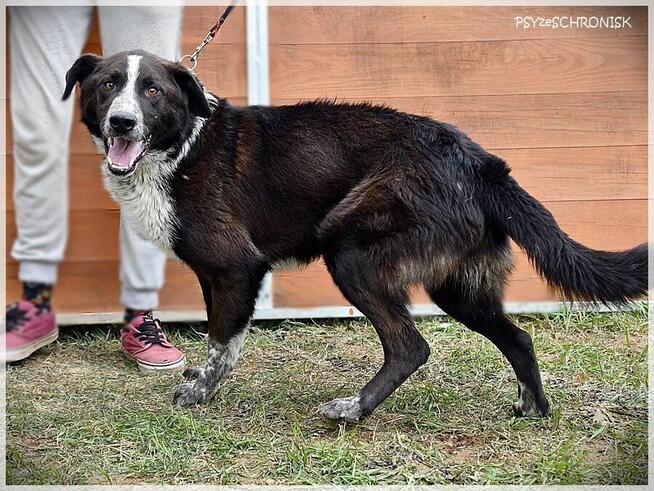 Sajgon: jego energia Ci się udzieli!