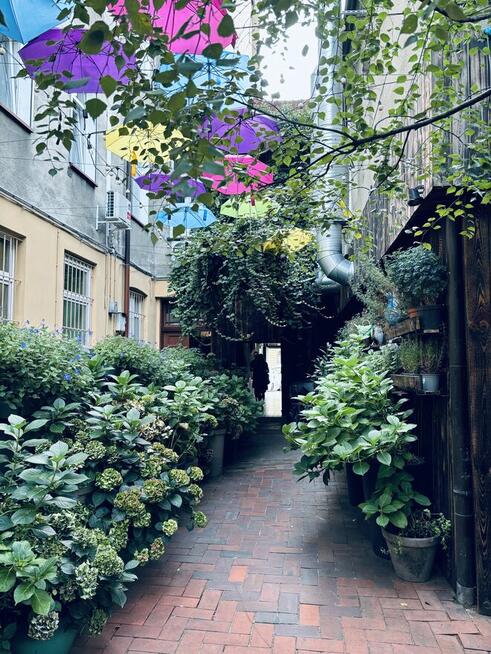 PROJEKTOWANIE ZIELENI I pielęgnacja przestrzeni zielonej