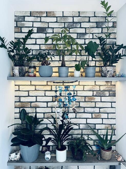 PROJEKTOWANIE ZIELENI I pielęgnacja przestrzeni zielonej