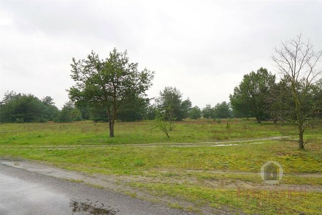 Działka przy drodze asfaltowej - Goszczanowiec
