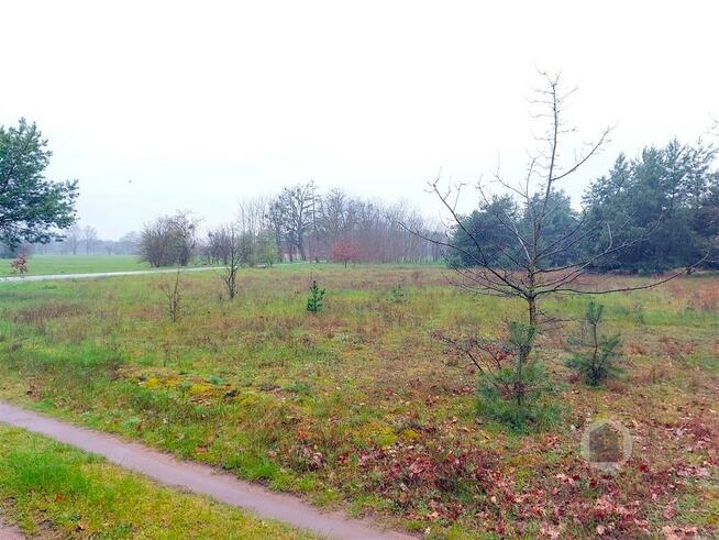 Działka przy drodze asfaltowej - Goszczanowiec