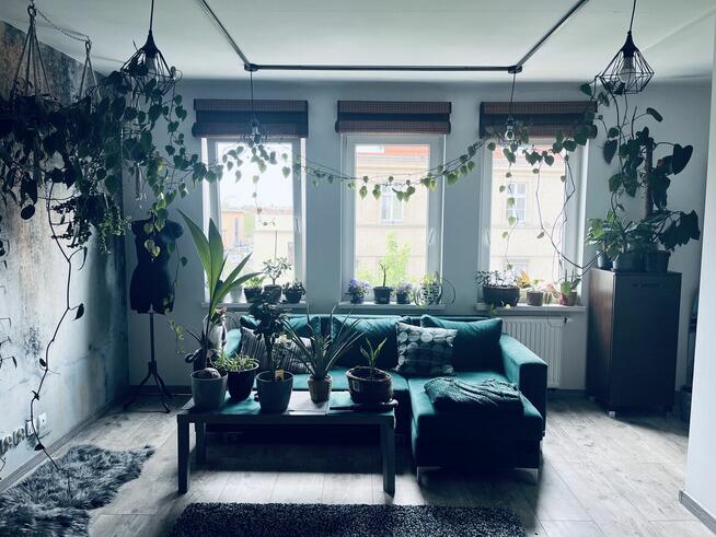 PROJEKTOWANIE ZIELENI I pielęgnacja przestrzeni zielonej