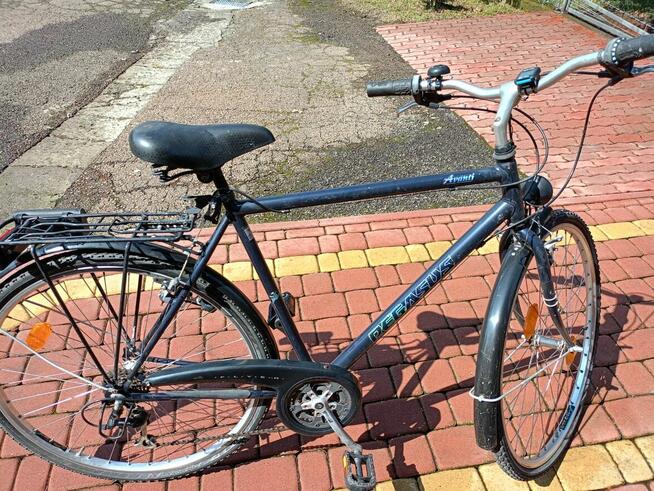 Rower Pegasus Avanti