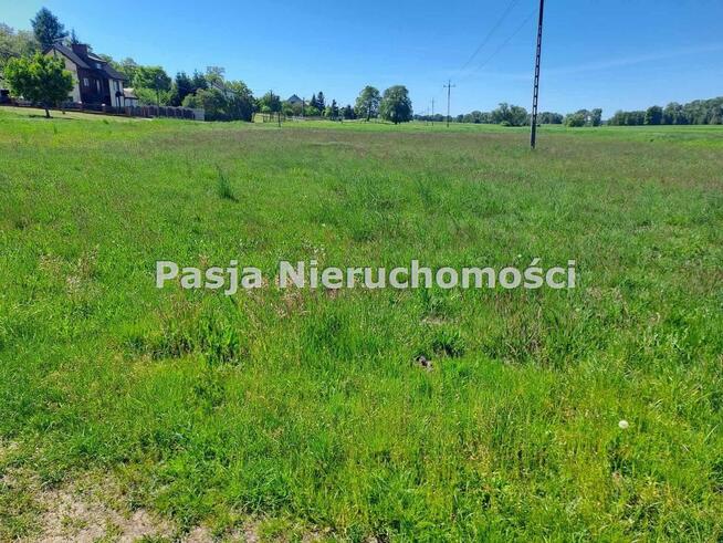 Działka Popłacin gm. Nowy Duninów