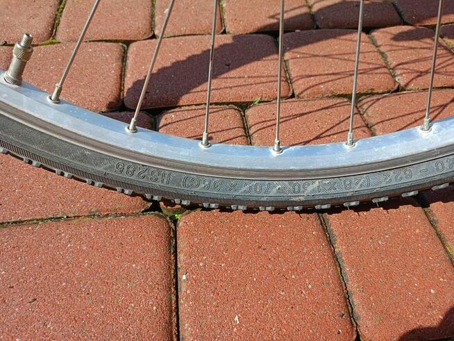 Rower Pegasus Avanti